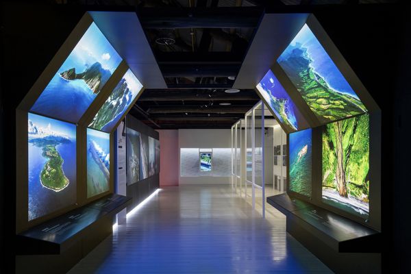 新北-齊柏林空間