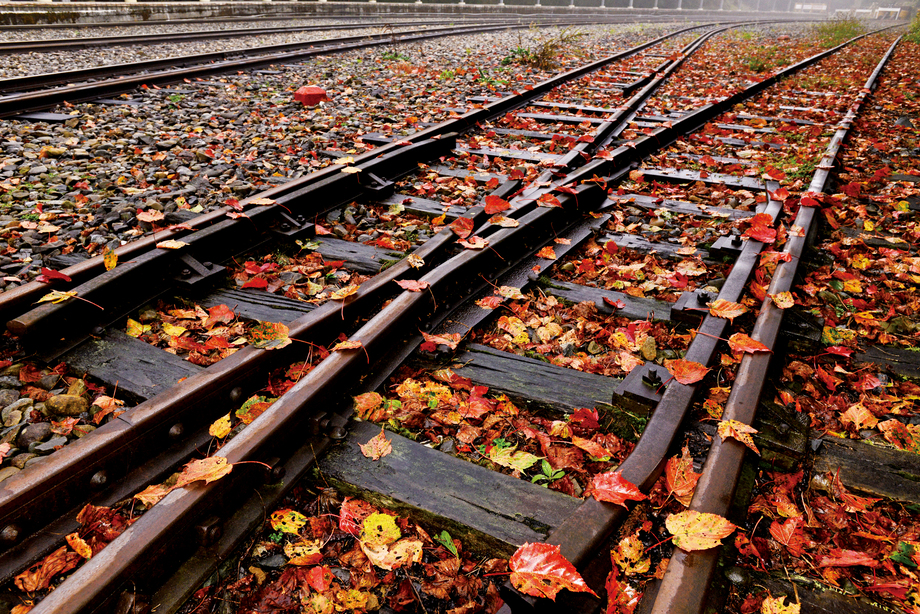2024阿里山交通方式阿里山怎麼去？開車自駕、火車、高鐵轉台灣好行路線