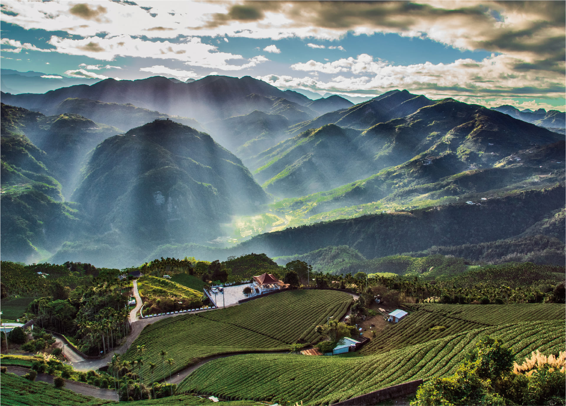 歡迎來到阿里山旅遊資訊網，此頁面包含大阿里山區域的景點介紹、旅遊攻略、達人帶玩推薦及多元的購買通路等資訊，讓你輕鬆享受阿里山之旅。