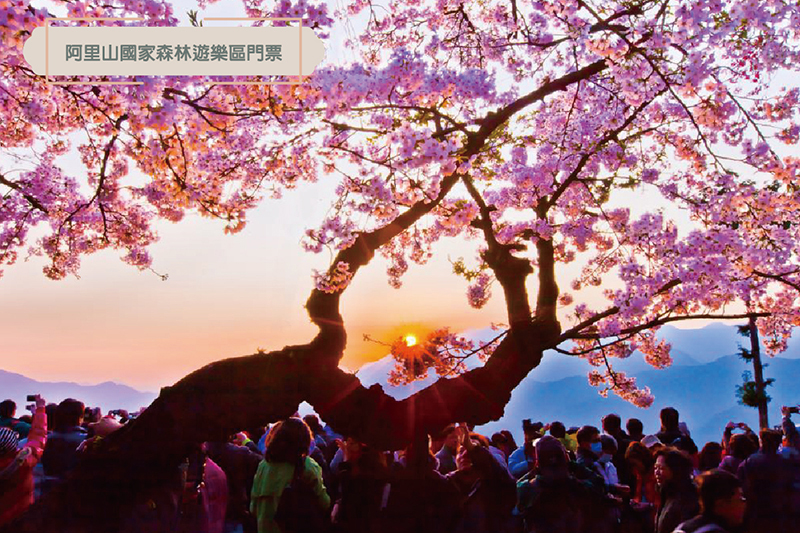 EASY出遊阿里山，精打細算GO優惠