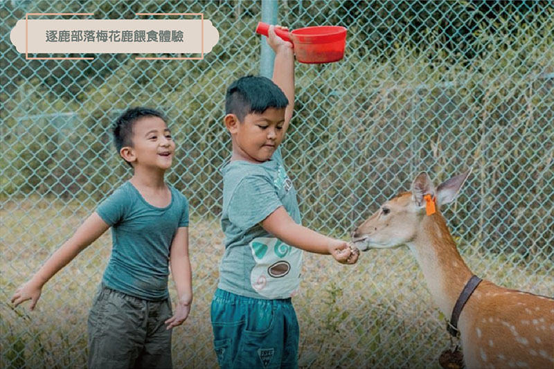 EASY出遊阿里山，精打細算GO優惠