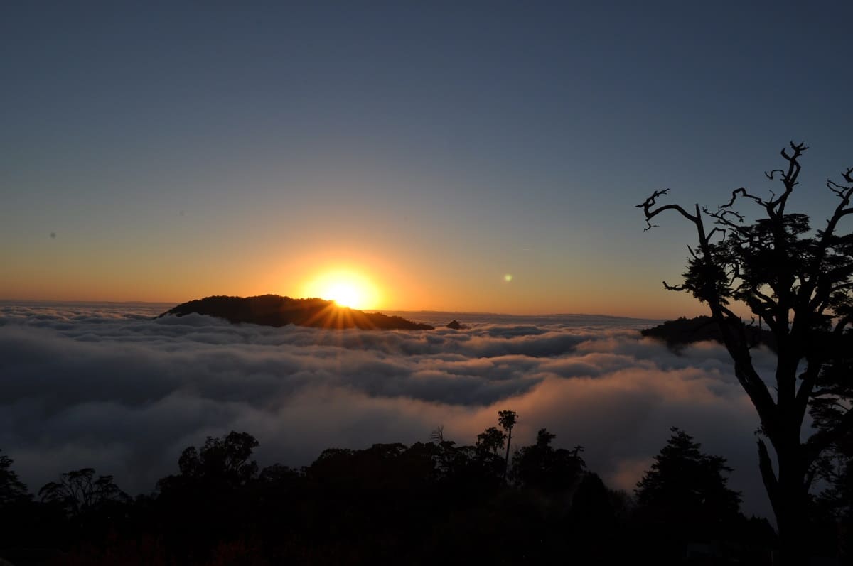 八仙山國家森林遊樂區