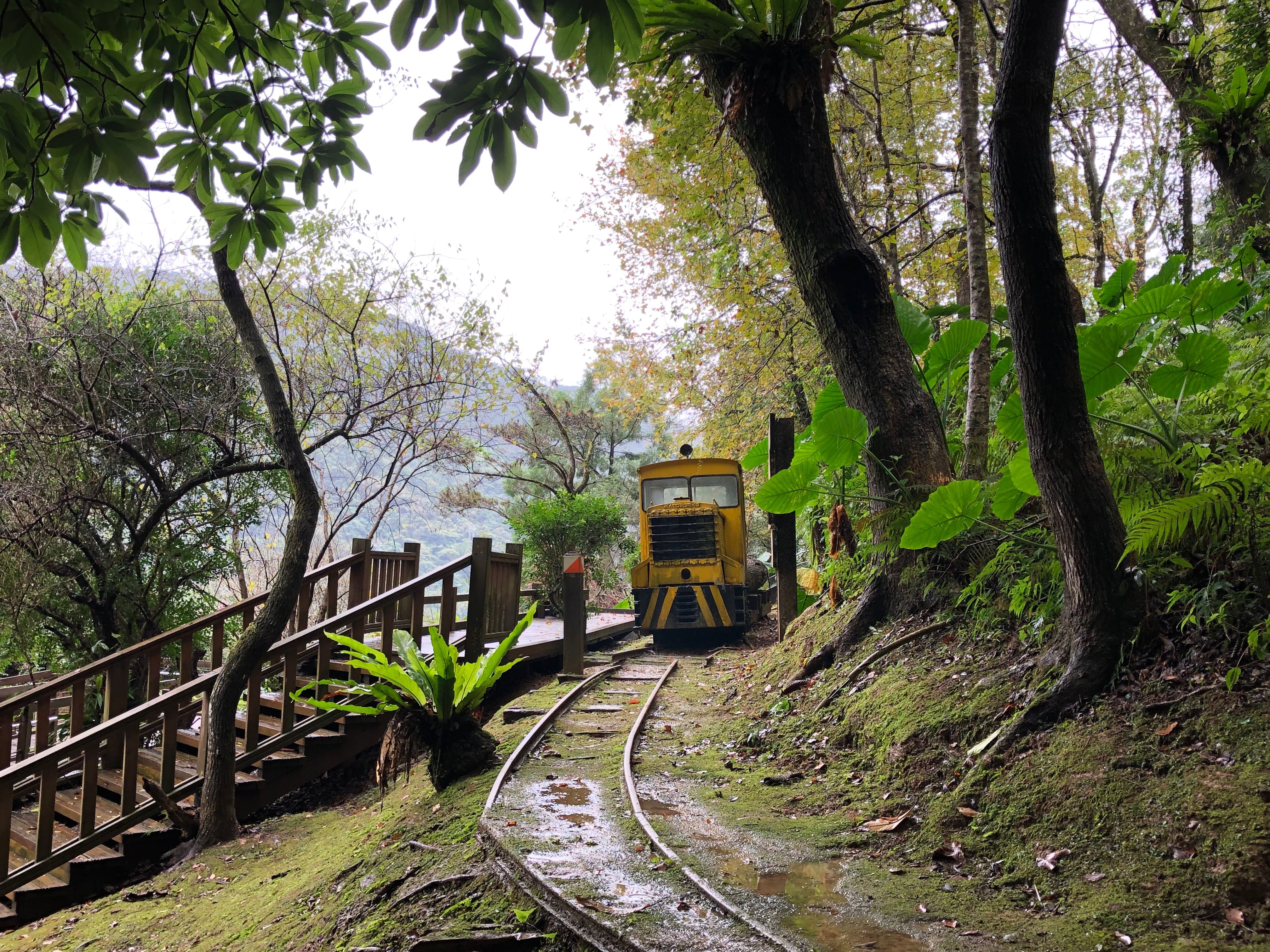 池南國家森林遊樂區