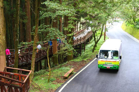 【國人限定】嘉義｜低碳暢遊-阿里山國家森林遊樂區門票+電動遊園車(沼平與香林線)