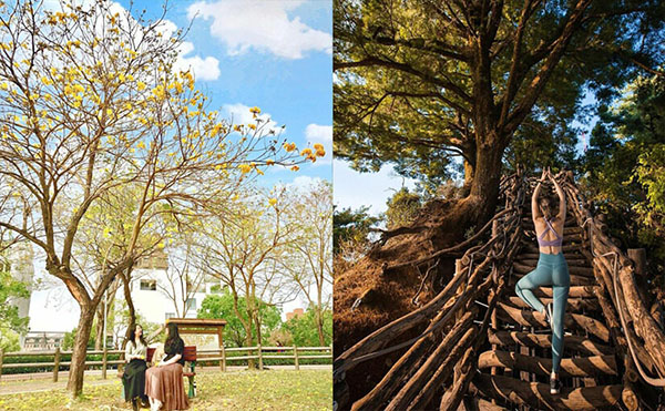 大坑景點｜台中約會、親子一日遊，大坑、北屯景點推薦景點