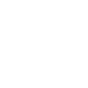 icon-bus