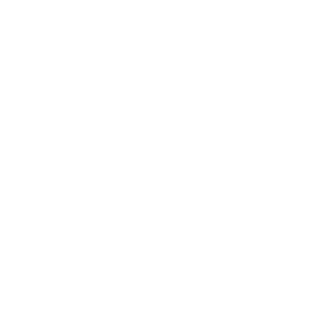 icon-mrt