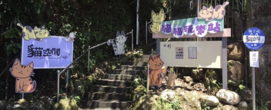 貓空閒